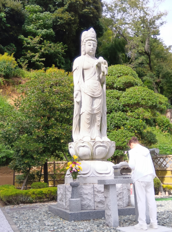 kannon