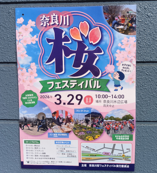 sakura Fes
